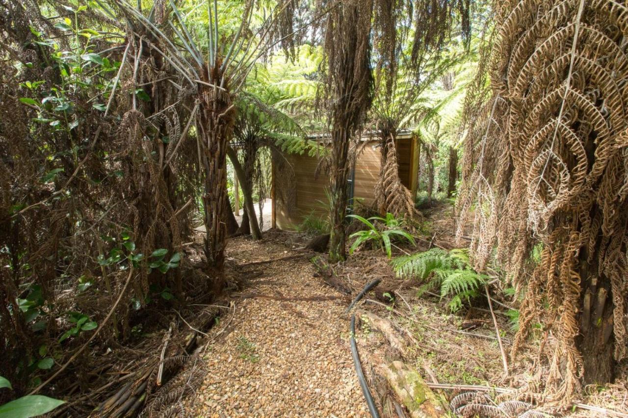 Karaka Sanctuary With Spa Pool By Waiheke Unlimited Oneroa Стая снимка